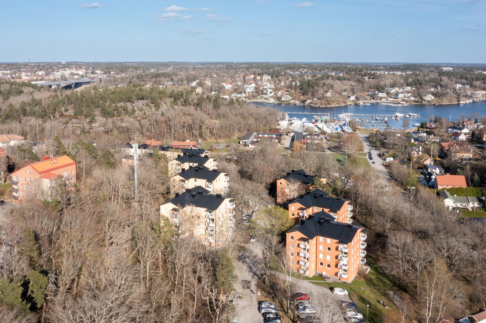 DJI_0849