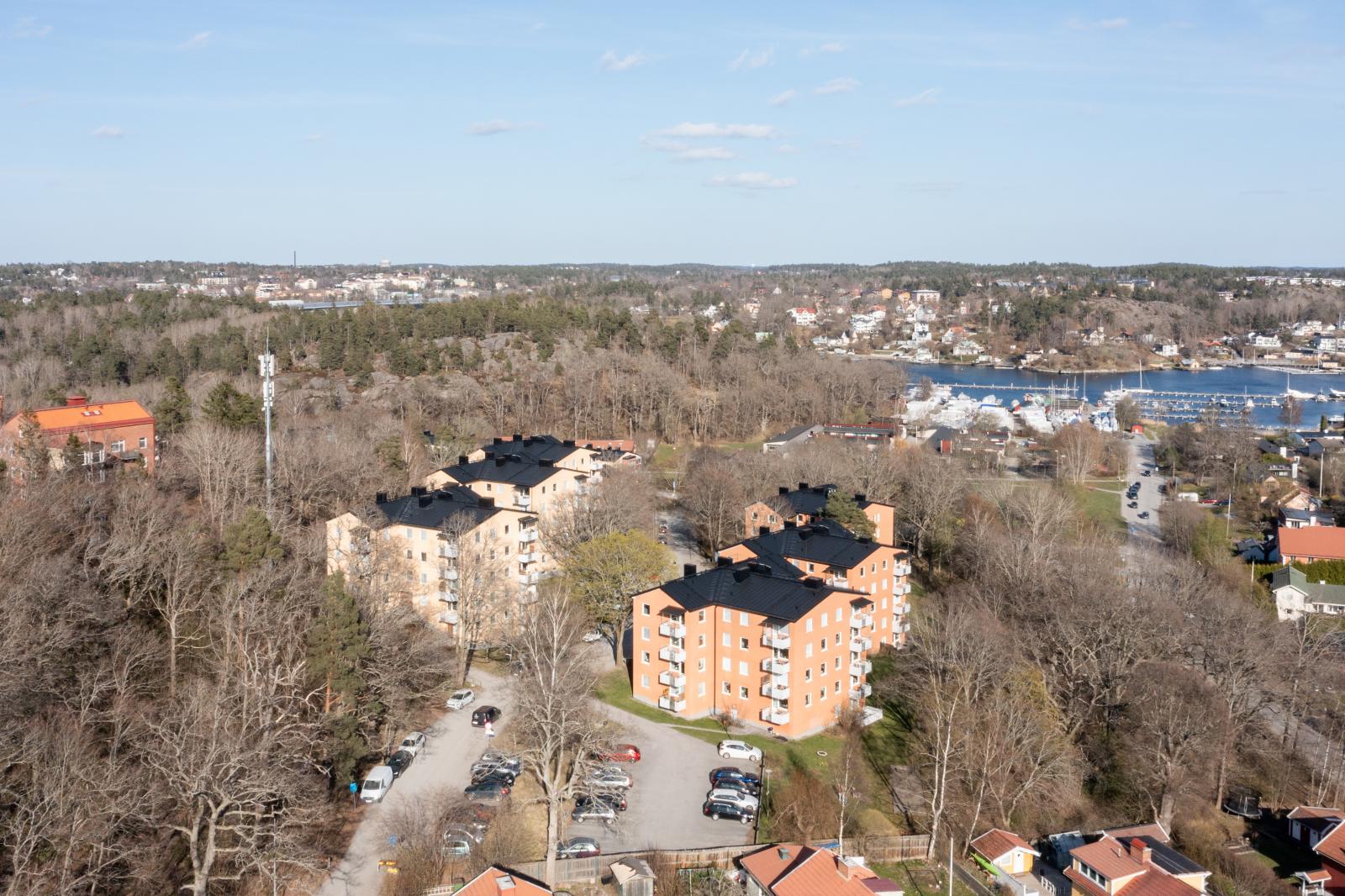 DJI_0861